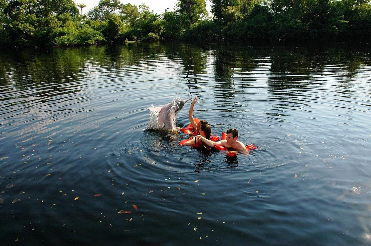 Anaconda Amazon Island Villa Manaus Esterno foto