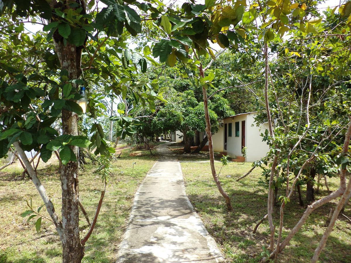 Anaconda Amazon Island Villa Manaus Esterno foto